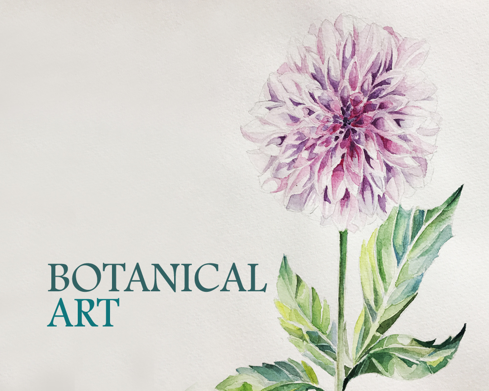 ボタニカルアート入門　植物画の描き方と画材